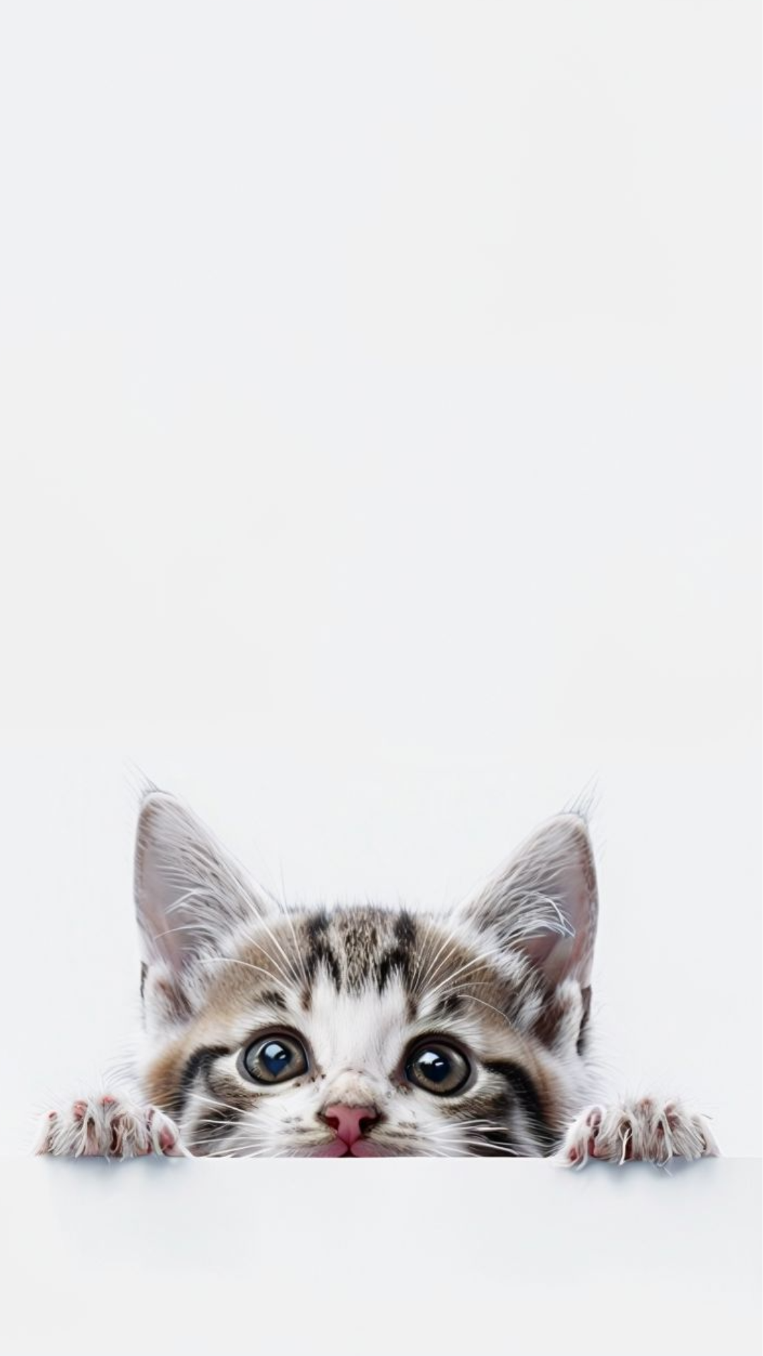 Kitty
