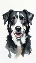 Mountain Dog